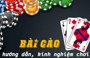 Giới thiệu về bài cào KU19