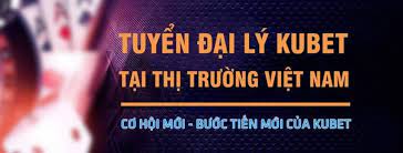 Giới thiệu vị trí công việc đại lý ku19